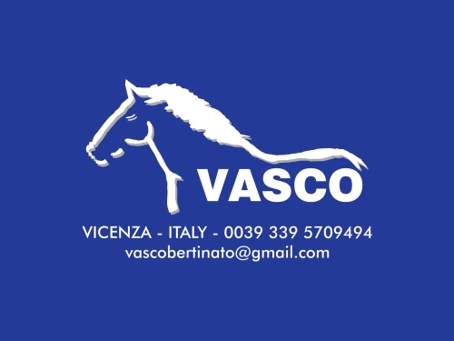 Vasco Saddlery and Horseman