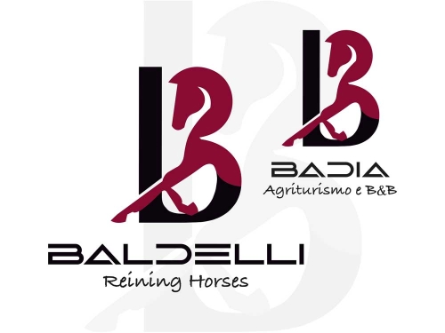 Baldelli Reining Horses