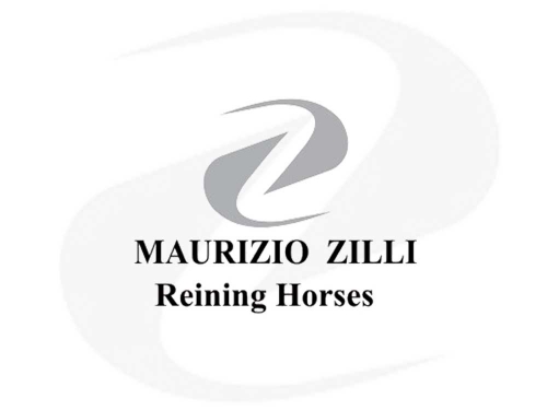 Maurizio Zilli Reining Horses